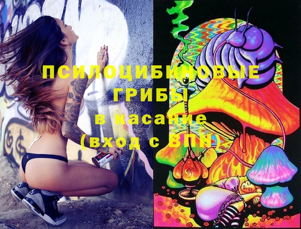 сатива Нягань