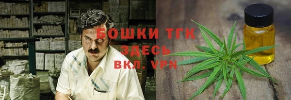 сатива Нягань