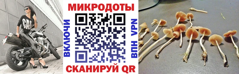 Псилоцибиновые грибы Psilocybe  MEGA ссылки  Исилькуль  цена  