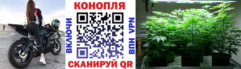где можно купить   KRAKEN зеркало  Шишки марихуана MAZAR  Исилькуль 